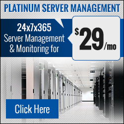 Platinum Server Management